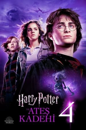 Harry Potter 4: Ateş Kadehi